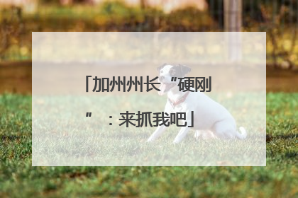 加州州长“硬刚”：来抓我吧