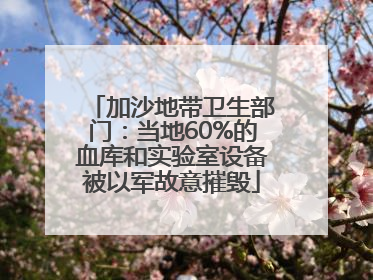 加沙地带卫生部门：当地60%的血库和实验室设备被以军故意摧毁