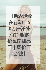 助农增收在行动：50万斤洋葱滞销 收购价每斤却高于市场价三分钱