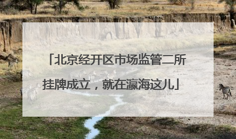 北京经开区市场监管二所挂牌成立，就在瀛海这儿
