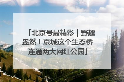 北京号最精彩｜野趣盎然！京城这个生态桥连通两大网红公园