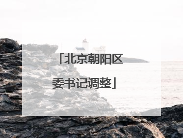 北京朝阳区委书记调整