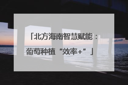 北方海南智慧赋能：葡萄种植“效率+”