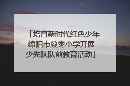 培育新时代红色少年 绵阳市桑枣小学开展少先队队前教育活动