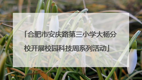 合肥市安庆路第三小学大杨分校开展校园科技周系列活动
