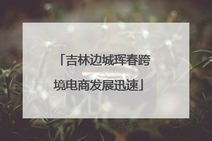 吉林边城珲春跨境电商发展迅速