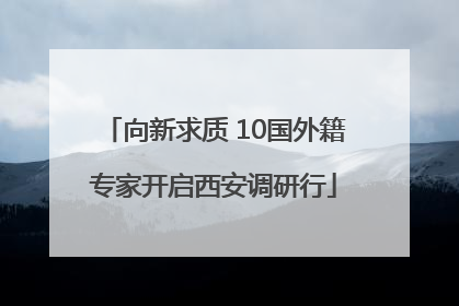 向新求质 10国外籍专家开启西安调研行