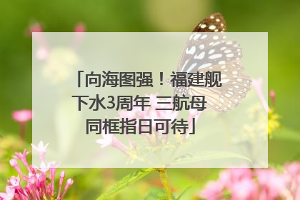 向海图强！福建舰下水3周年 三航母同框指日可待