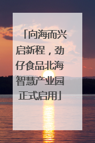 向海而兴启新程，劲仔食品北海智慧产业园正式启用