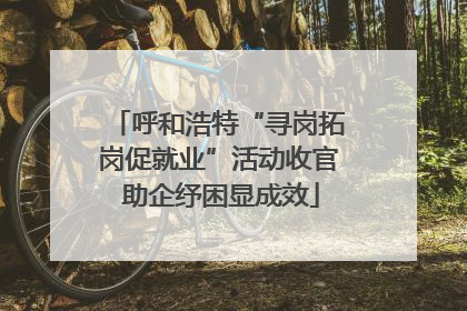 呼和浩特“寻岗拓岗促就业”活动收官 助企纾困显成效