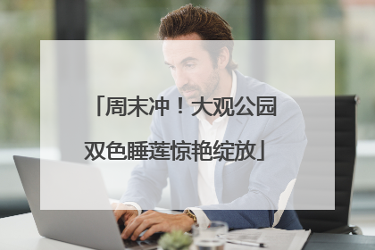周末冲！大观公园双色睡莲惊艳绽放