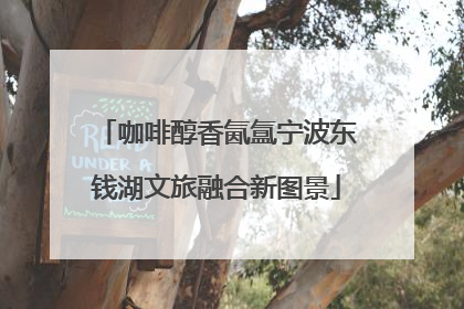 咖啡醇香氤氲宁波东钱湖文旅融合新图景