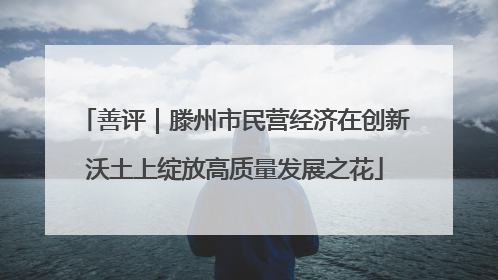 善评｜滕州市民营经济在创新沃土上绽放高质量发展之花