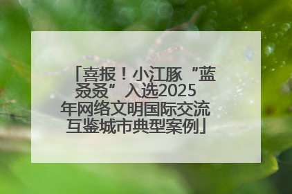 喜报！小江豚“蓝叒叒”入选2025年网络文明国际交流互鉴城市典型案例