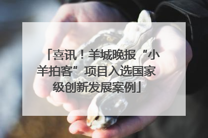 喜讯！羊城晚报“小羊拍客”项目入选国家级创新发展案例