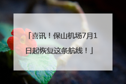 喜讯！保山机场7月1日起恢复这条航线！