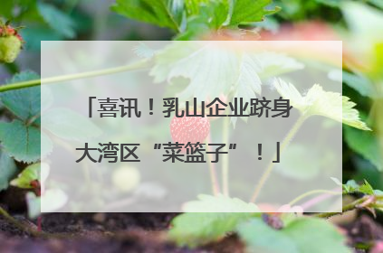 喜讯！乳山企业跻身大湾区“菜篮子”！
