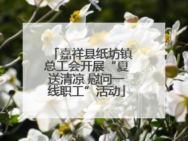 嘉祥县纸坊镇总工会开展“夏送清凉 慰问一线职工”活动