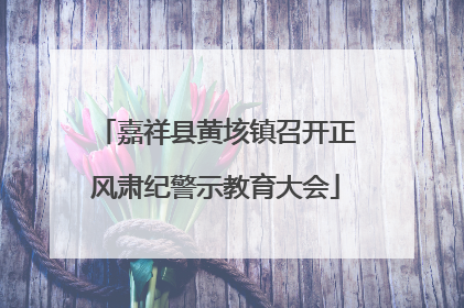 嘉祥县黄垓镇召开正风肃纪警示教育大会