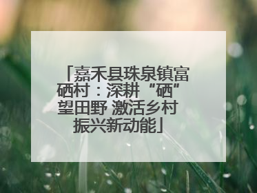 嘉禾县珠泉镇富硒村：深耕“硒”望田野 激活乡村振兴新动能