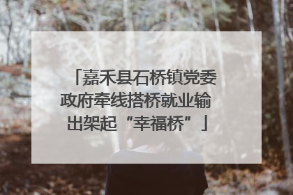 嘉禾县石桥镇党委政府牵线搭桥就业输出架起“幸福桥”