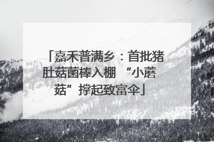 嘉禾普满乡：首批猪肚菇菌棒入棚 “小蘑菇”撑起致富伞