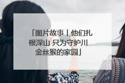 图片故事丨他们扎根深山 只为守护川金丝猴的家园