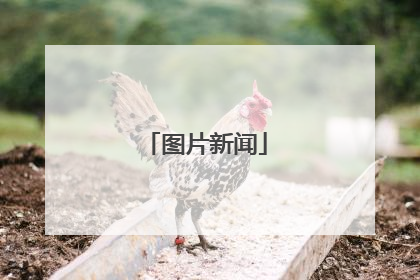图片新闻