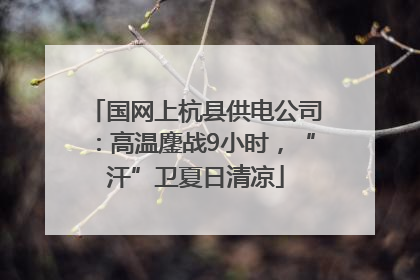 国网上杭县供电公司：高温鏖战9小时，“汗”卫夏日清凉