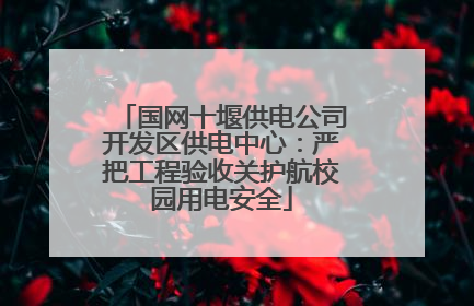 国网十堰供电公司开发区供电中心：严把工程验收关护航校园用电安全