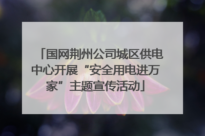 国网荆州公司城区供电中心开展“安全用电进万家”主题宣传活动