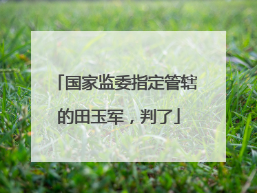 国家监委指定管辖的田玉军，判了