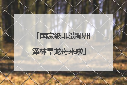 国家级非遗鄂州泽林旱龙舟来啦