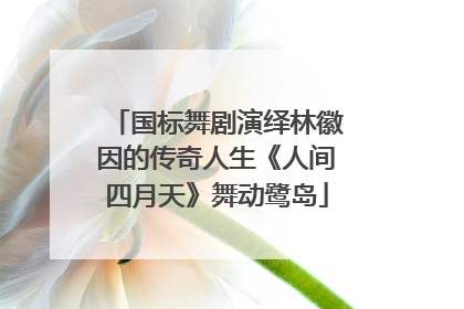 国标舞剧演绎林徽因的传奇人生《人间四月天》舞动鹭岛