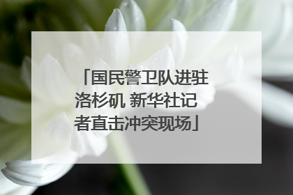 国民警卫队进驻洛杉矶 新华社记者直击冲突现场