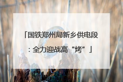 国铁郑州局新乡供电段：全力迎战高“烤”