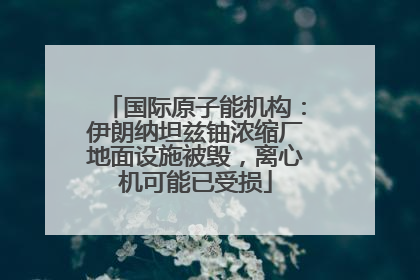 国际原子能机构：伊朗纳坦兹铀浓缩厂地面设施被毁，离心机可能已受损