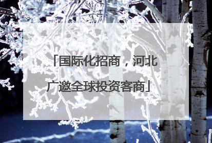 国际化招商，河北广邀全球投资客商