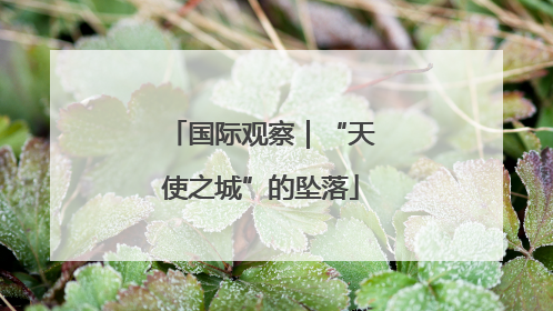 国际观察｜“天使之城”的坠落