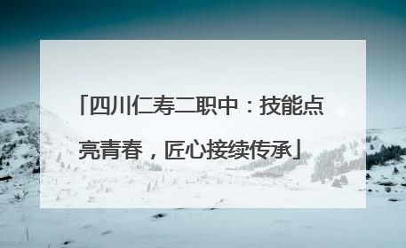 四川仁寿二职中：技能点亮青春，匠心接续传承