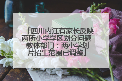 四川内江有家长反映两所小学学区划分问题 教体部门：两小学划片招生范围已调整