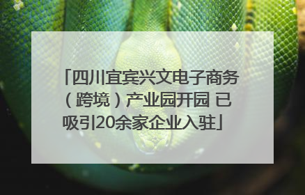 四川宜宾兴文电子商务（跨境）产业园开园 已吸引20余家企业入驻