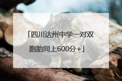 四川达州中学一对双胞胎同上600分+