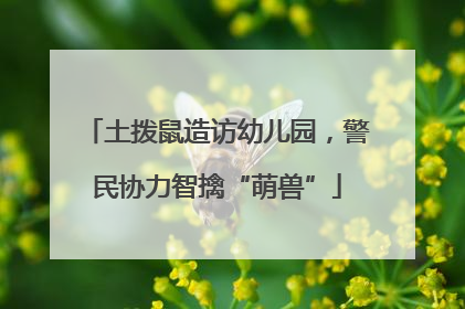 土拨鼠造访幼儿园，警民协力智擒“萌兽”