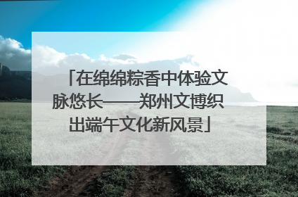在绵绵粽香中体验文脉悠长——郑州文博织出端午文化新风景