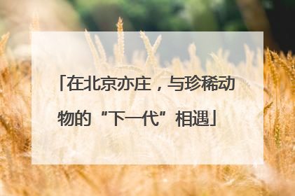 在北京亦庄，与珍稀动物的“下一代”相遇