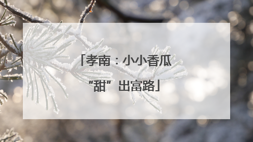 孝南：小小香瓜 “甜”出富路