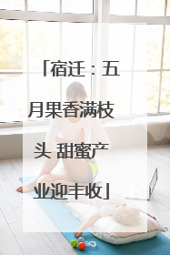 宿迁：五月果香满枝头 甜蜜产业迎丰收