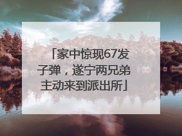 家中惊现67发子弹，遂宁两兄弟主动来到派出所