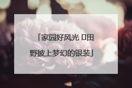 家园好风光 ⎮田野披上梦幻的银装
